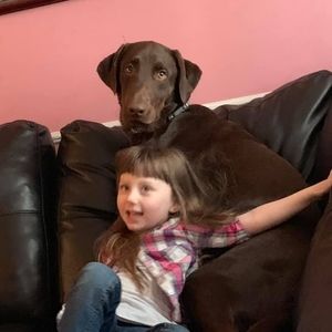 Meet your Posher, Ronnie-crystal